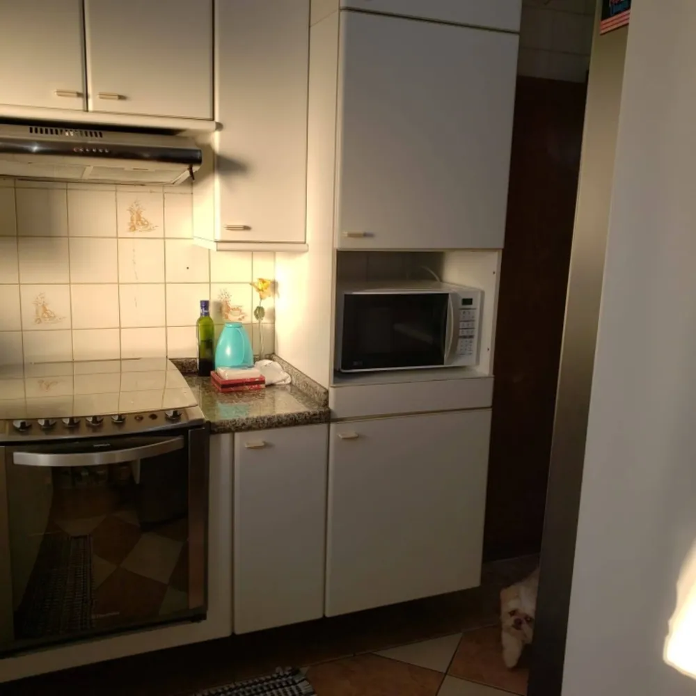 Apartamento, 3 quartos, 72 m² - Foto 6