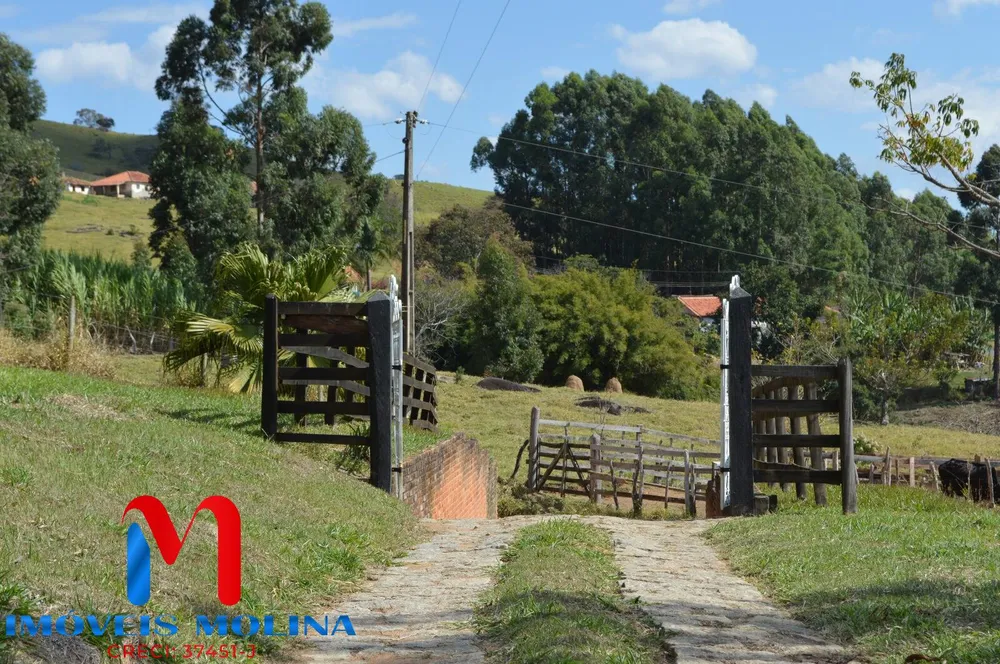 Chácara, 2 quartos, 9539 m² - Foto 5