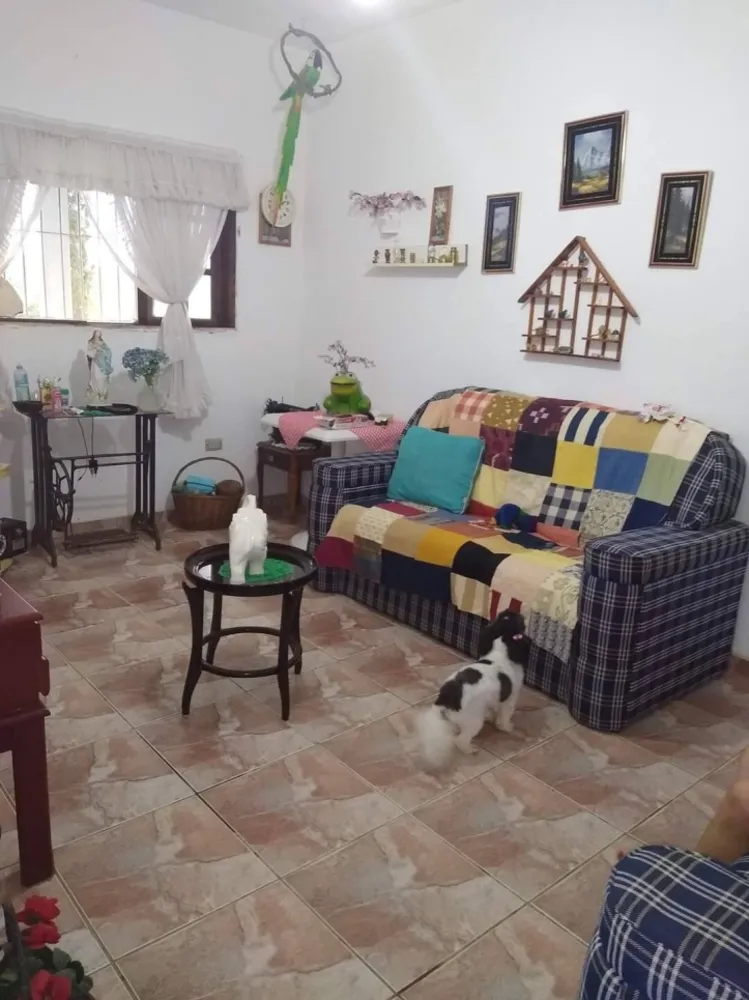 Chácara, 2 quartos, 1290 m² - Foto 6
