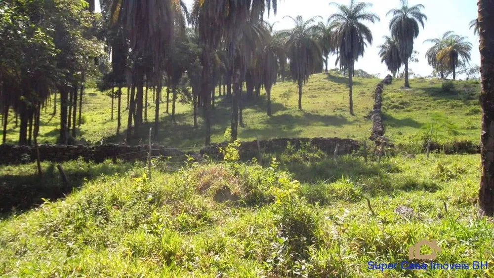 Sítio, 4 quartos, 21 hectares - Foto 1