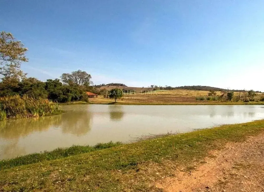 Fazenda, 48 hectares - Foto 15