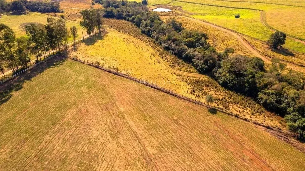 Fazenda, 48 hectares - Foto 14