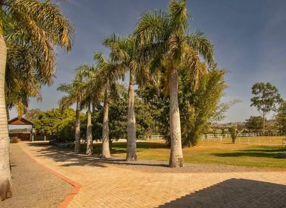 Fazenda, 48 hectares - Foto 6