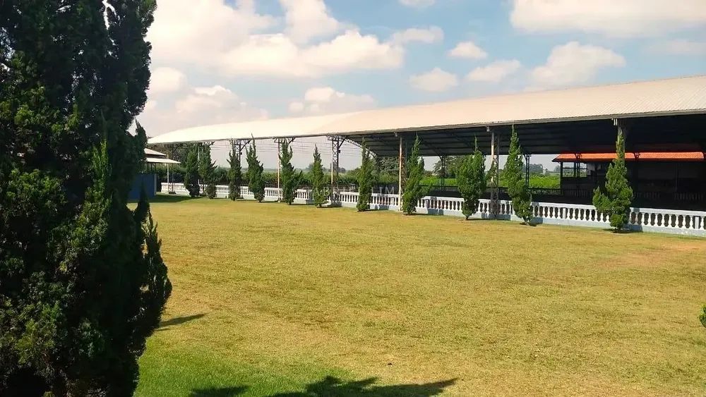 Fazenda, 48 hectares - Foto 4