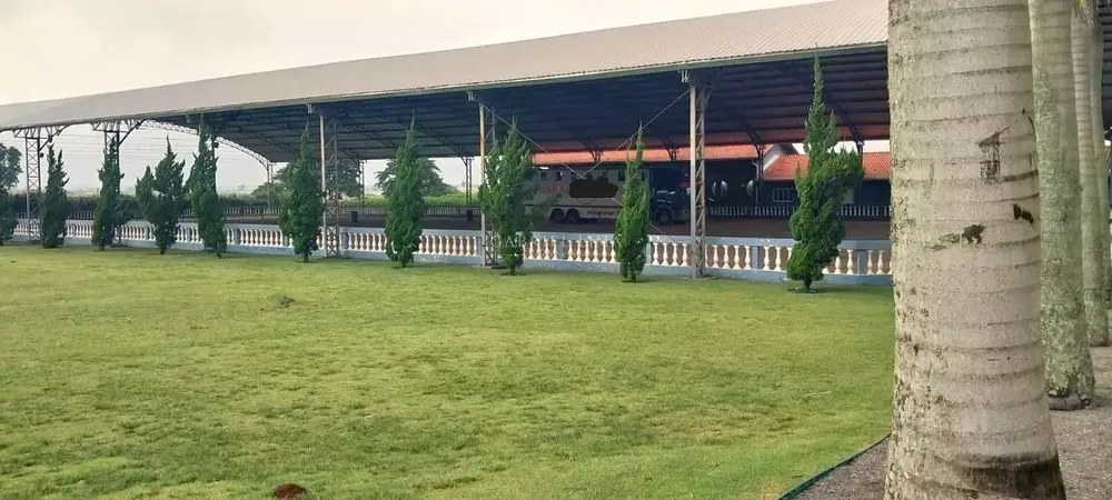Fazenda, 48 hectares - Foto 5