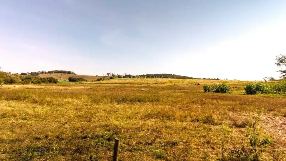 Fazenda, 48 hectares - Foto 16