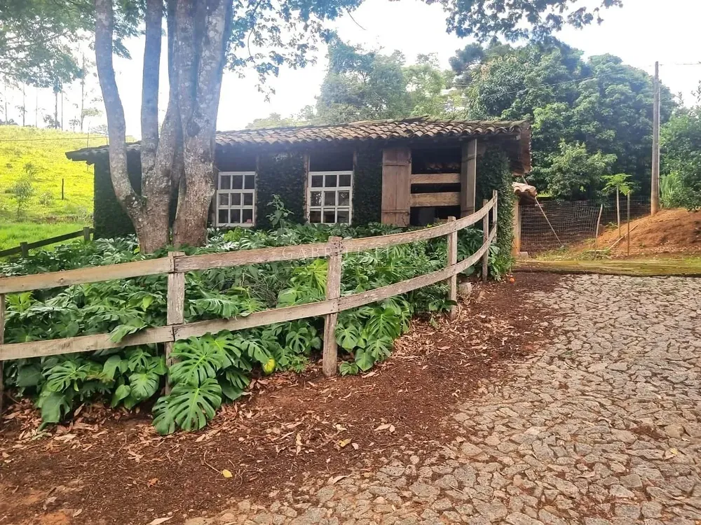 Fazenda, 235 hectares - Foto 3