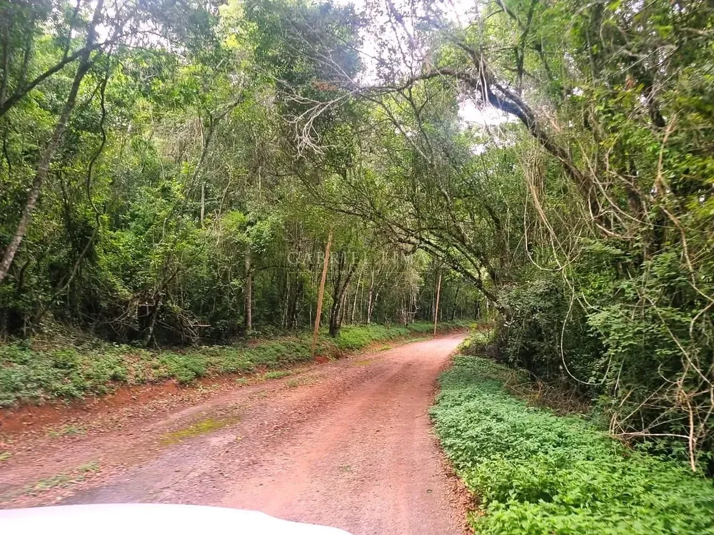 Fazenda, 235 hectares - Foto 6