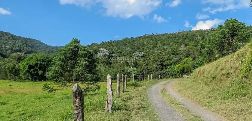 Fazenda, 235 hectares - Foto 5