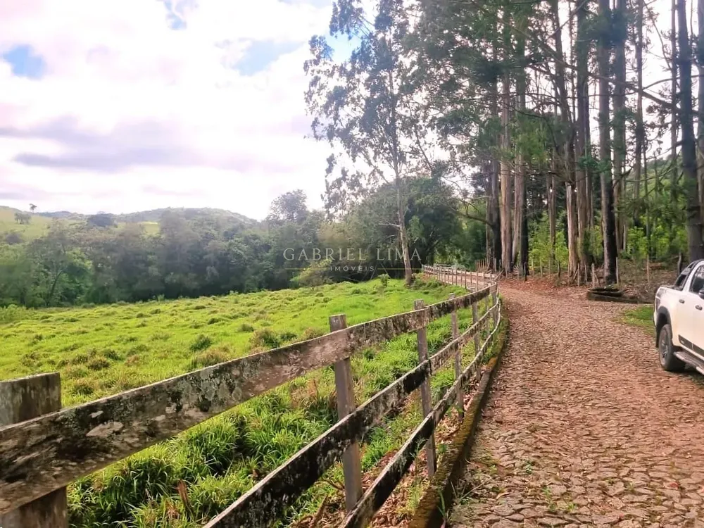 Fazenda, 235 hectares - Foto 7