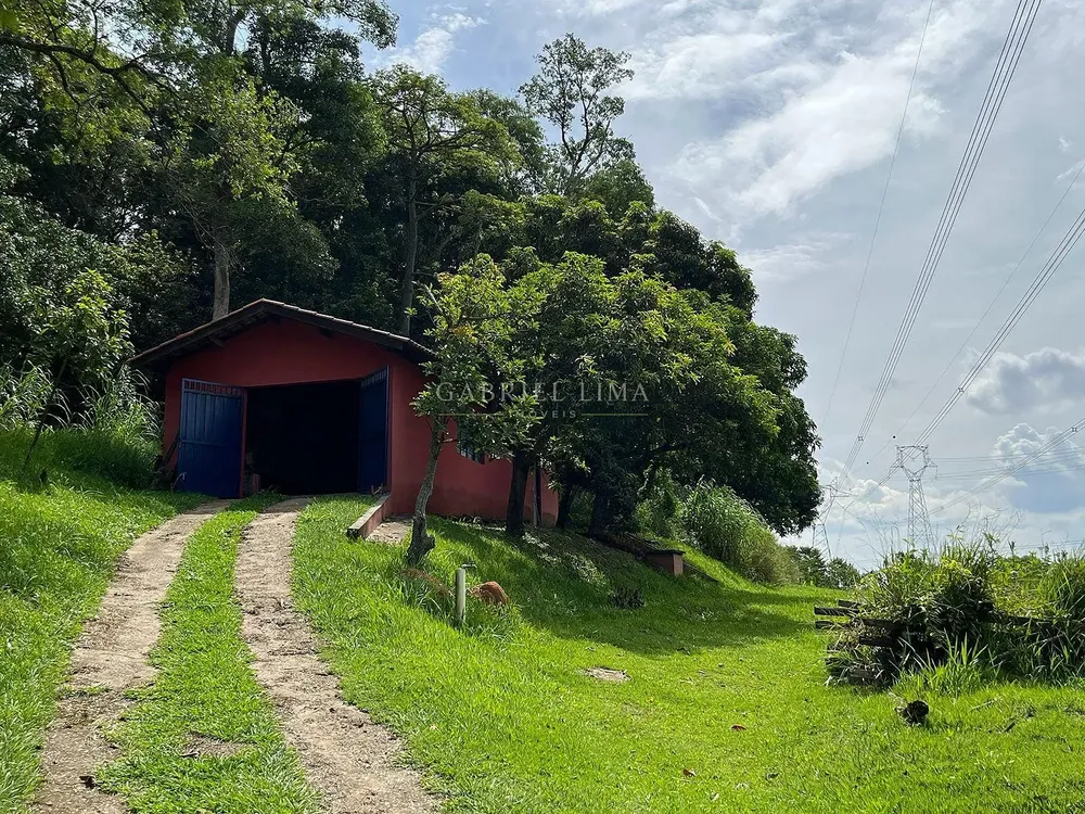 Sítio, 4 quartos, 5 hectares - Foto 2