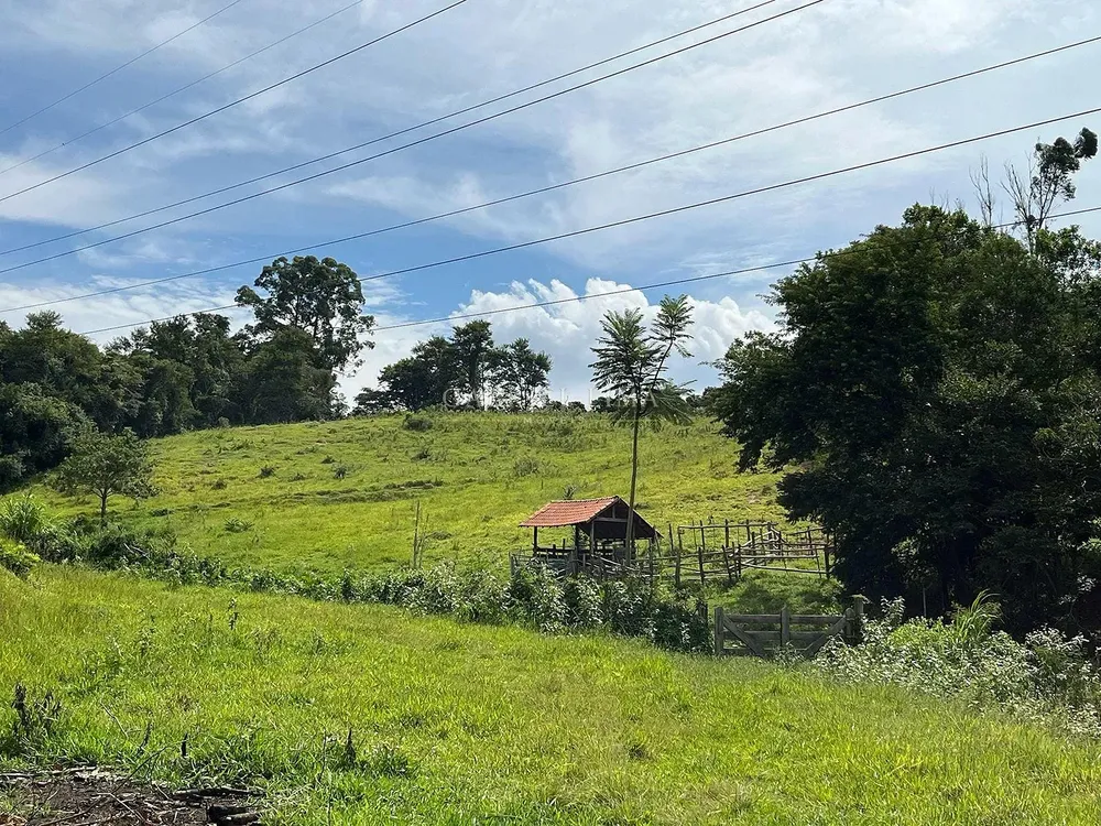 Sítio, 4 quartos, 5 hectares - Foto 1