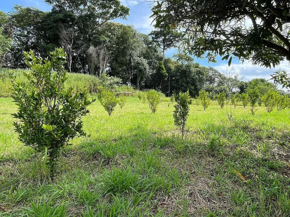 Sítio, 4 quartos, 5 hectares - Foto 4