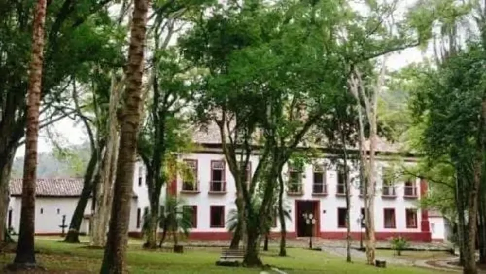 Fazenda, 79 hectares - Foto 8