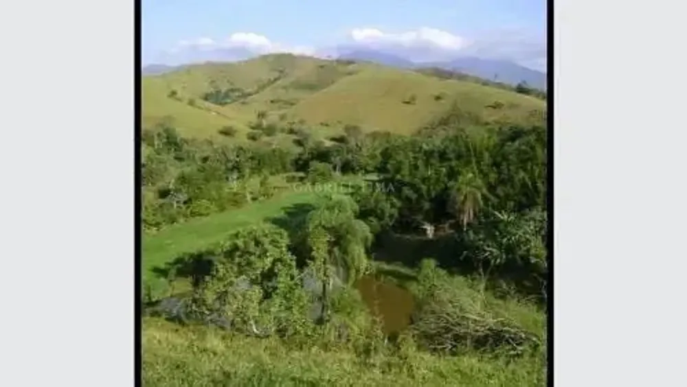 Fazenda, 79 hectares - Foto 6