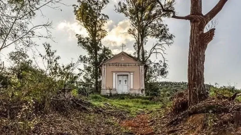 Fazenda, 131 hectares - Foto 9