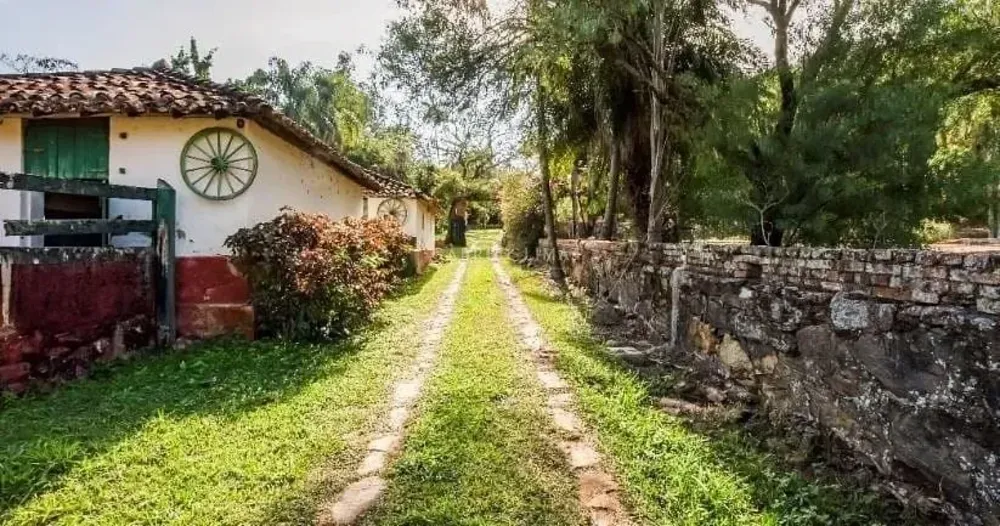 Fazenda, 131 hectares - Foto 10