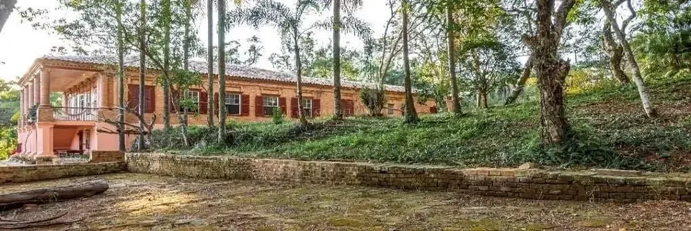 Fazenda, 131 hectares - Foto 7