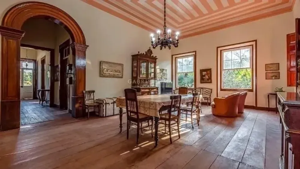 Fazenda, 131 hectares - Foto 4