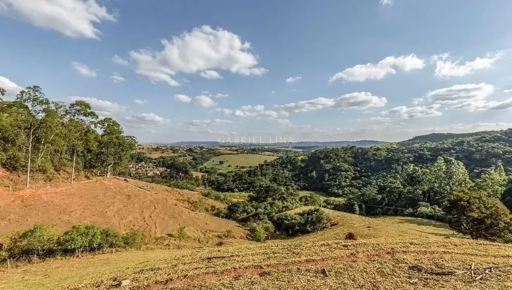 Fazenda, 131 hectares - Foto 12