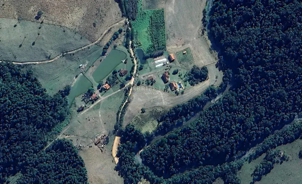 Fazenda, 97 hectares - Foto 8