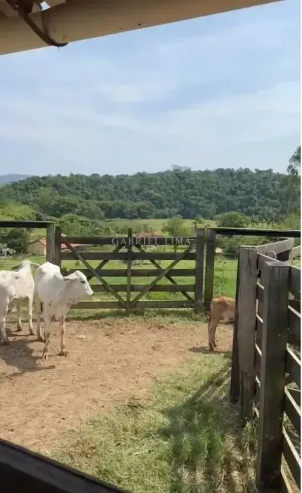 Fazenda, 97 hectares - Foto 6