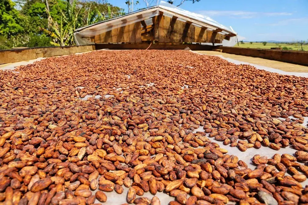 Fazenda, 2500 hectares - Foto 6