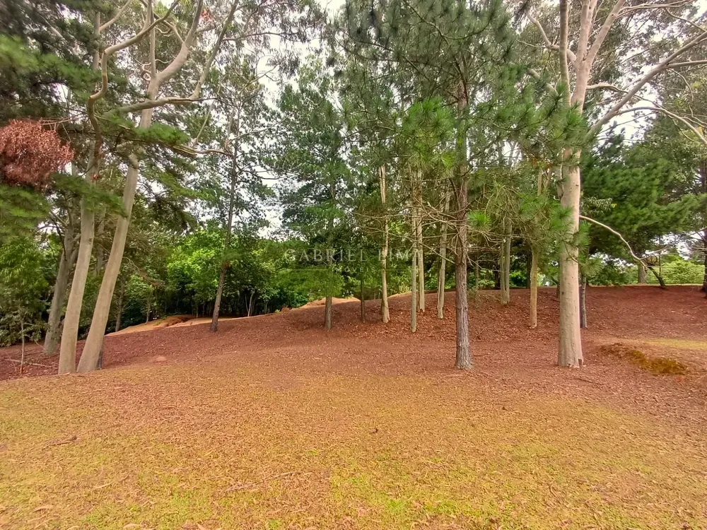 Sítio, 12 quartos, 11 hectares - Foto 6