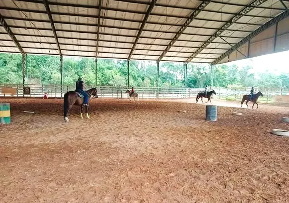 Fazenda, 22 hectares - Foto 1