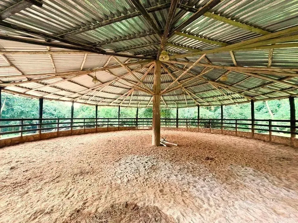 Fazenda, 22 hectares - Foto 3