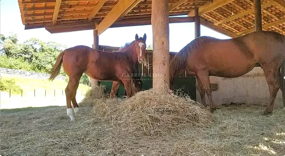 Fazenda, 22 hectares - Foto 4