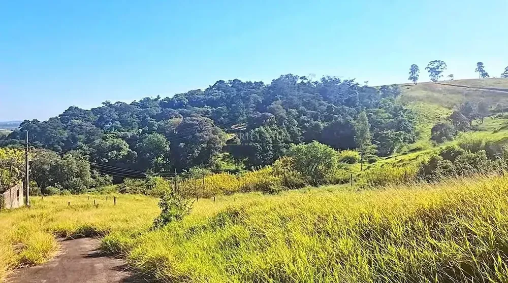 Terreno, 21 hectares - Foto 9