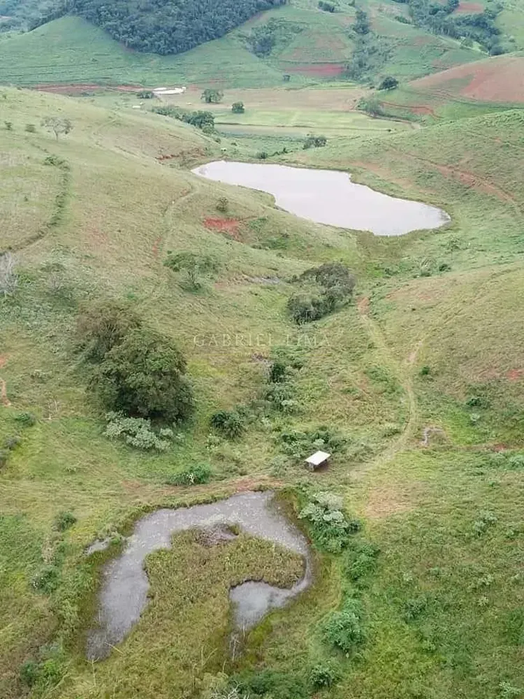 Fazenda, 1507 hectares - Foto 11