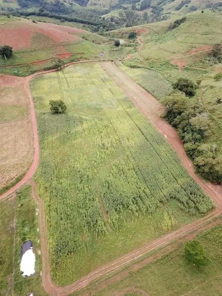 Fazenda, 1507 hectares - Foto 9