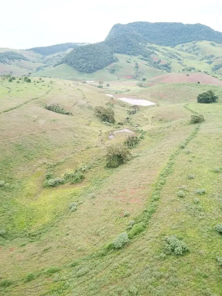 Fazenda, 1507 hectares - Foto 10