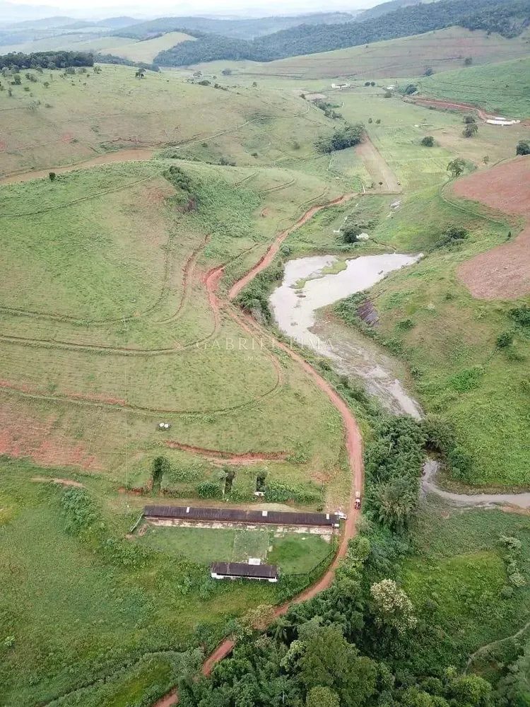 Fazenda, 1507 hectares - Foto 7