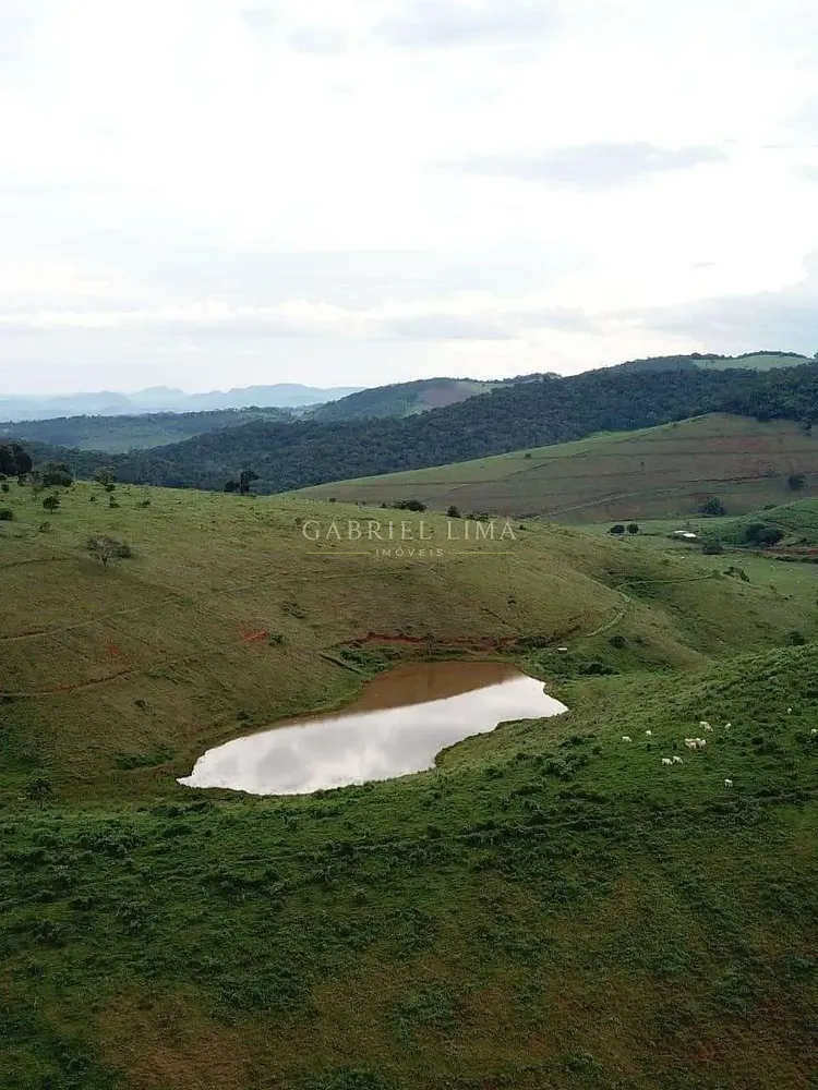 Fazenda, 1507 hectares - Foto 12