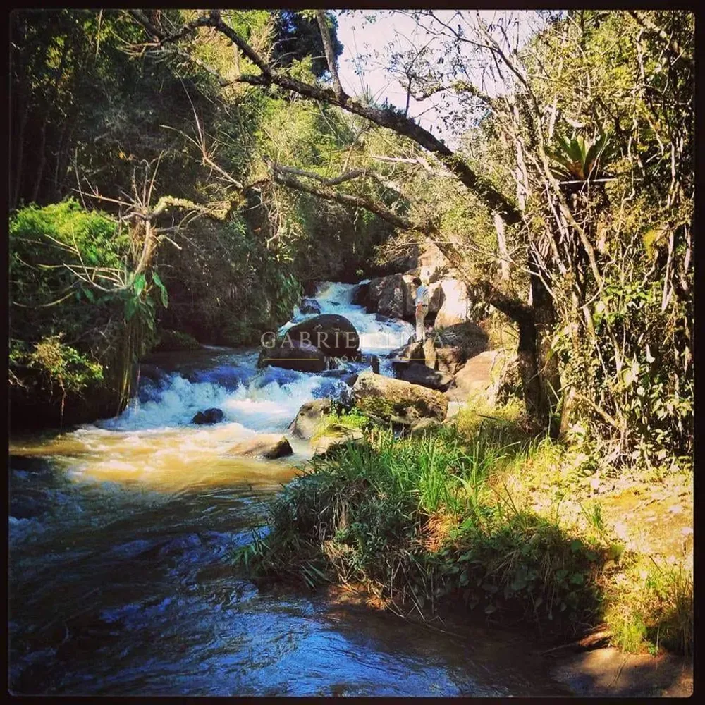 Sítio, 4 quartos, 17 hectares - Foto 7