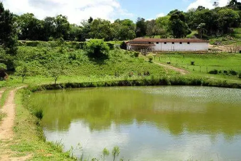 Sítio, 4 quartos, 17 hectares - Foto 4
