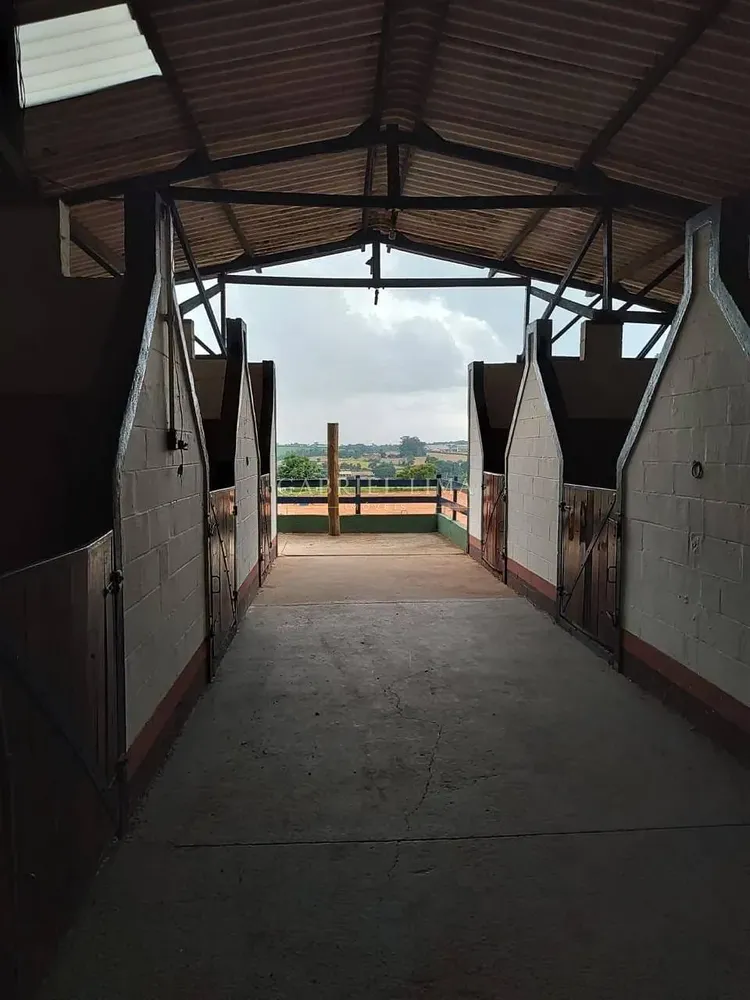 Sítio, 4 quartos, 4 hectares - Foto 4