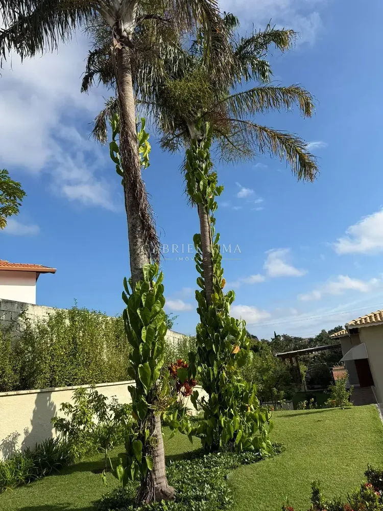 Casa, 7 quartos, 561 m² - Foto 3