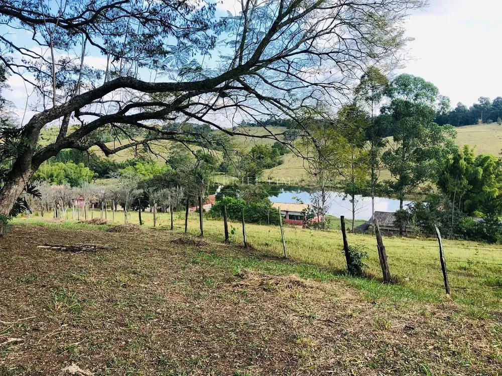 Fazenda, 51 hectares - Foto 6