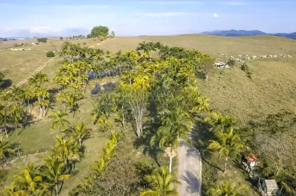 Fazenda, 145 hectares - Foto 11