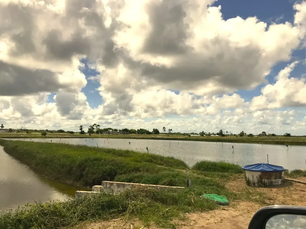 Fazenda, 1567 hectares - Foto 3