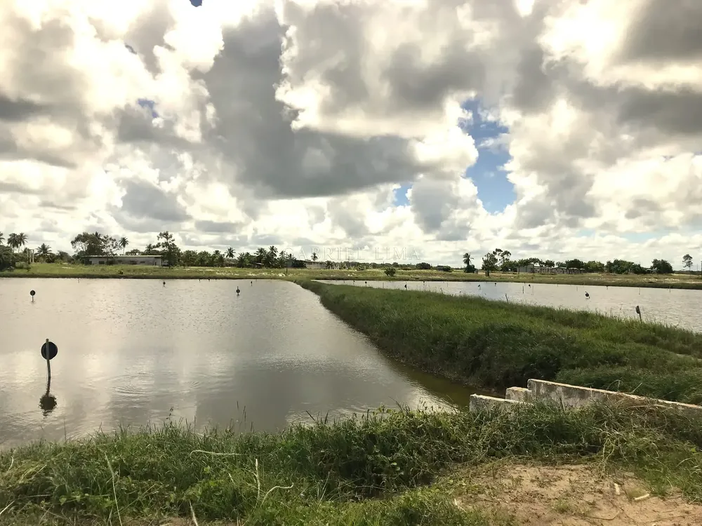 Fazenda, 1567 hectares - Foto 4