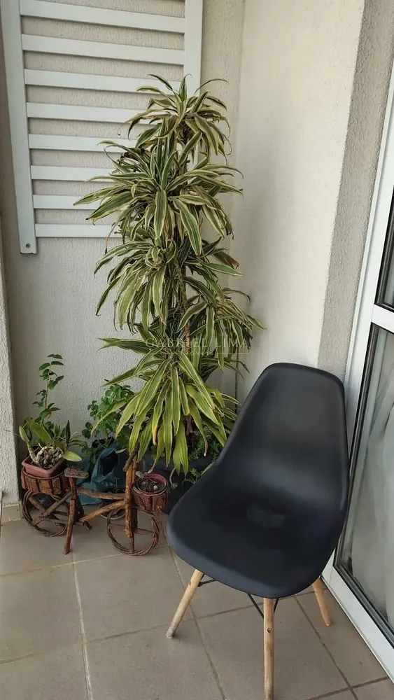 Apartamento, 3 quartos, 71 m² - Foto 7