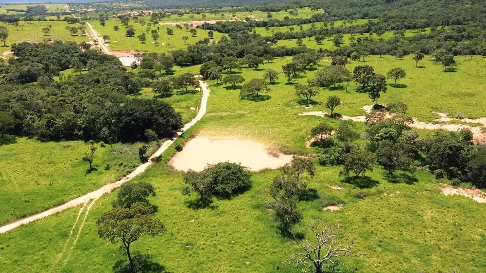Fazenda, 8402 hectares - Foto 4