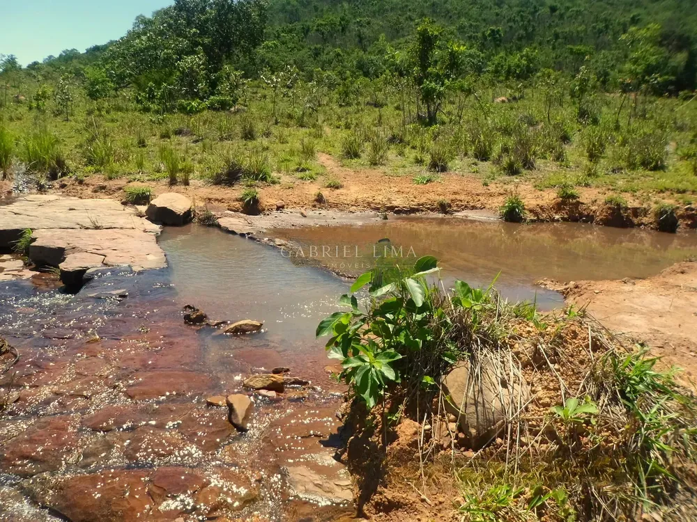 Fazenda, 8402 hectares - Foto 8