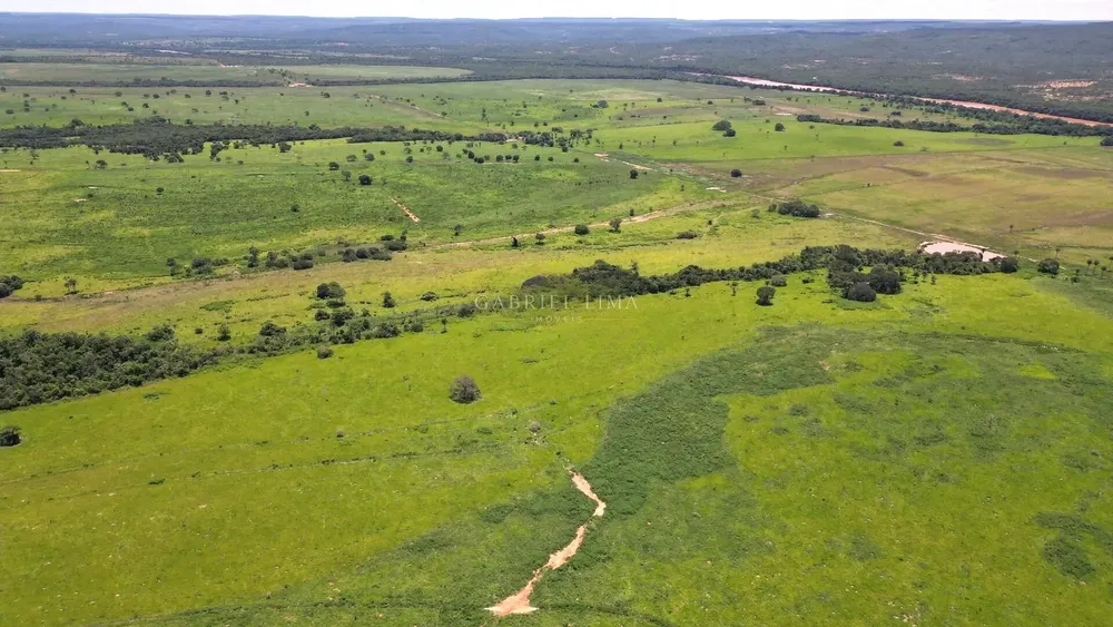 Fazenda, 8402 hectares - Foto 3