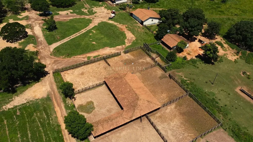 Fazenda, 8402 hectares - Foto 6